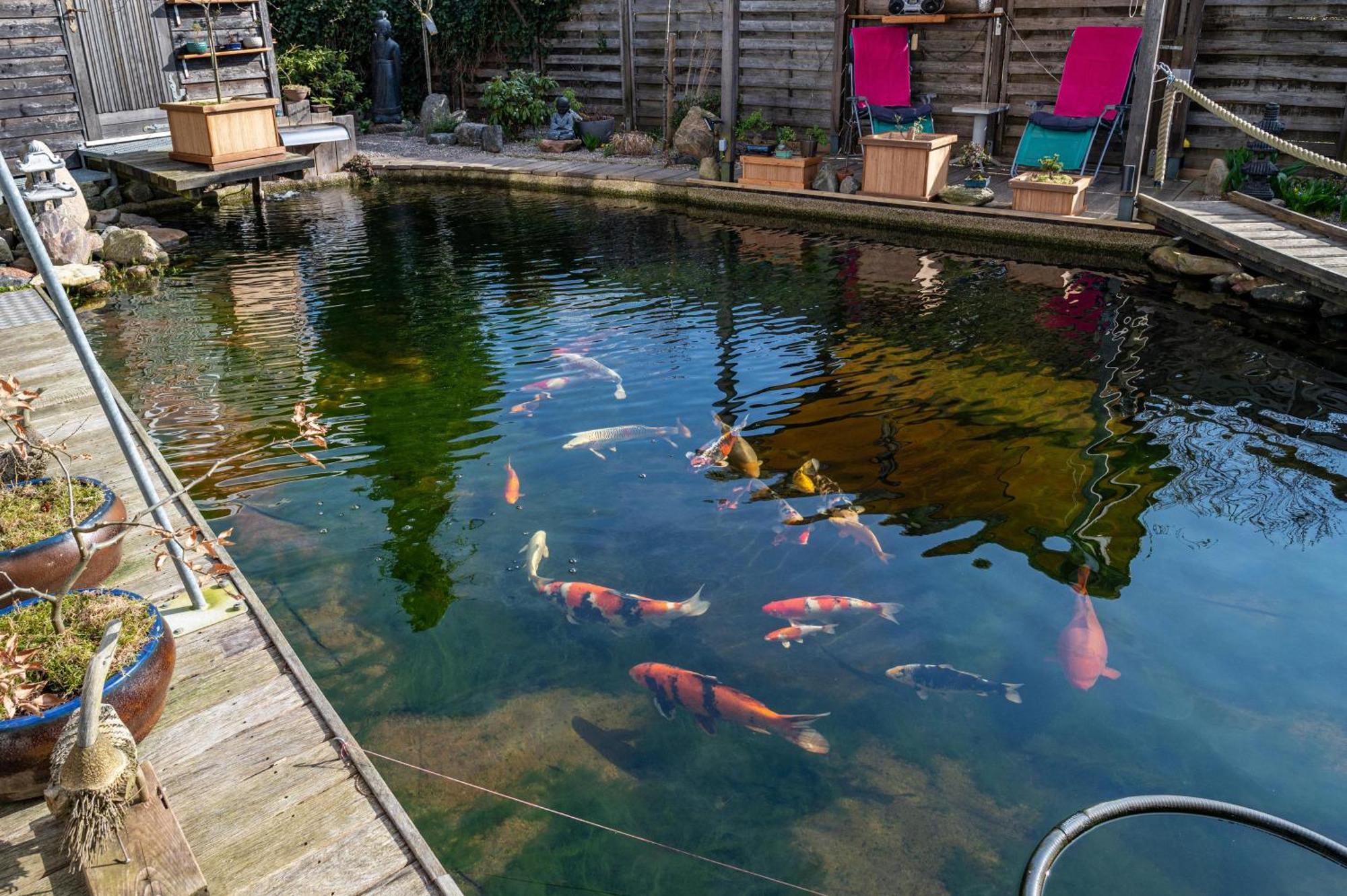 Apartament Am Teich Bützow Zewnętrze zdjęcie